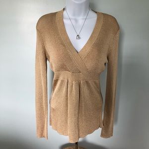 Ann Taylor Loft shimmery top